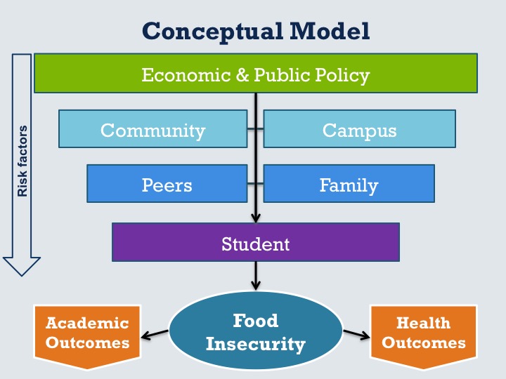 Food Security Conceptual Model