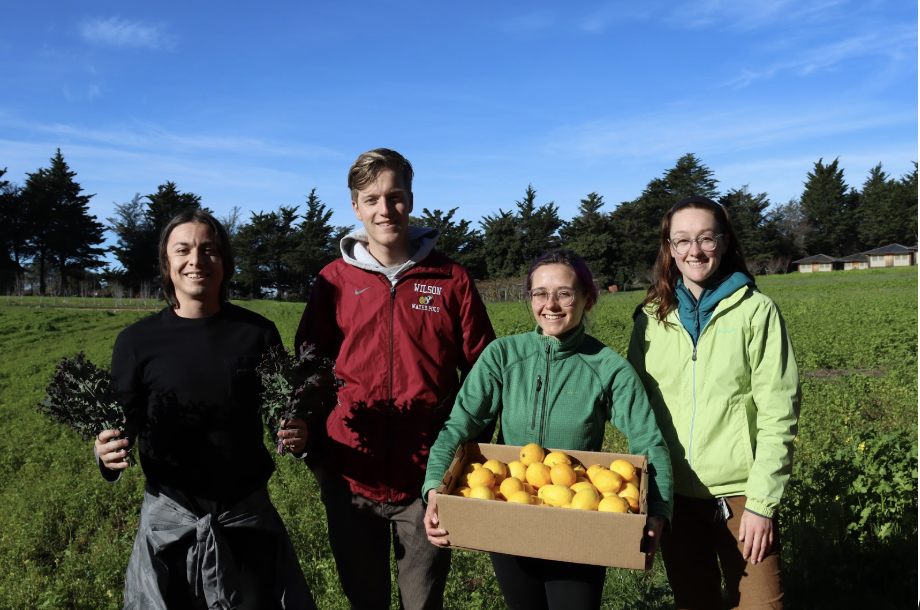 Four students smiling at the camera, standing in an open field. Two students are carrying/holding produce.
